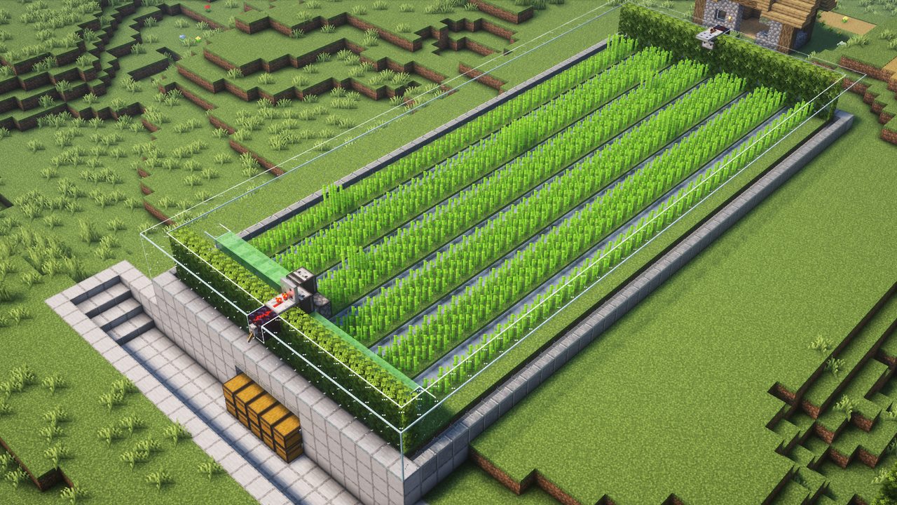 Sugarcane-Farm (automatic) by DrForum