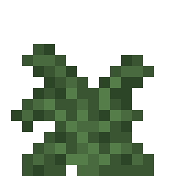 Large Fern