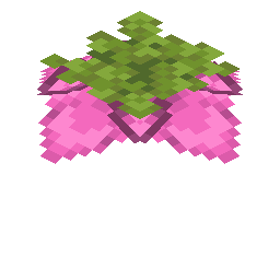 Spore Blossom