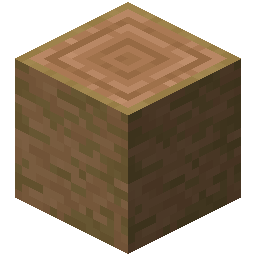 Stripped Jungle Log